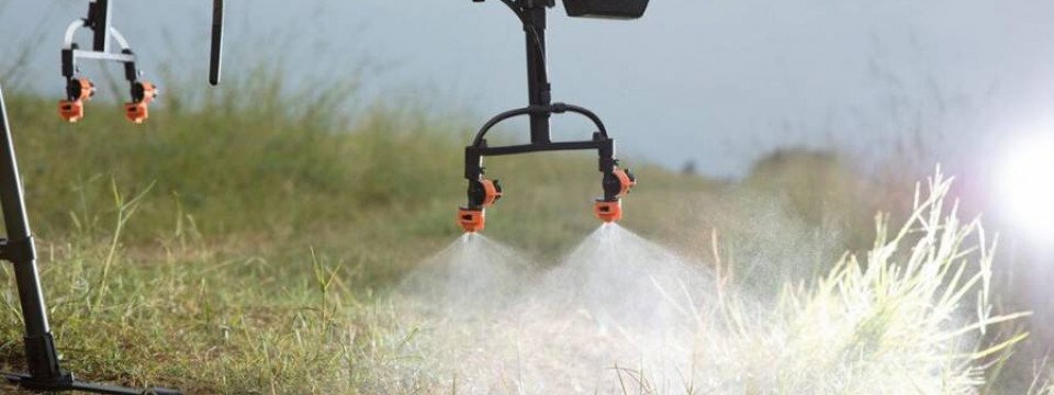 Лайфхаки з десикації  ріпаку. Які підводні камені чатують на агронома?! 
