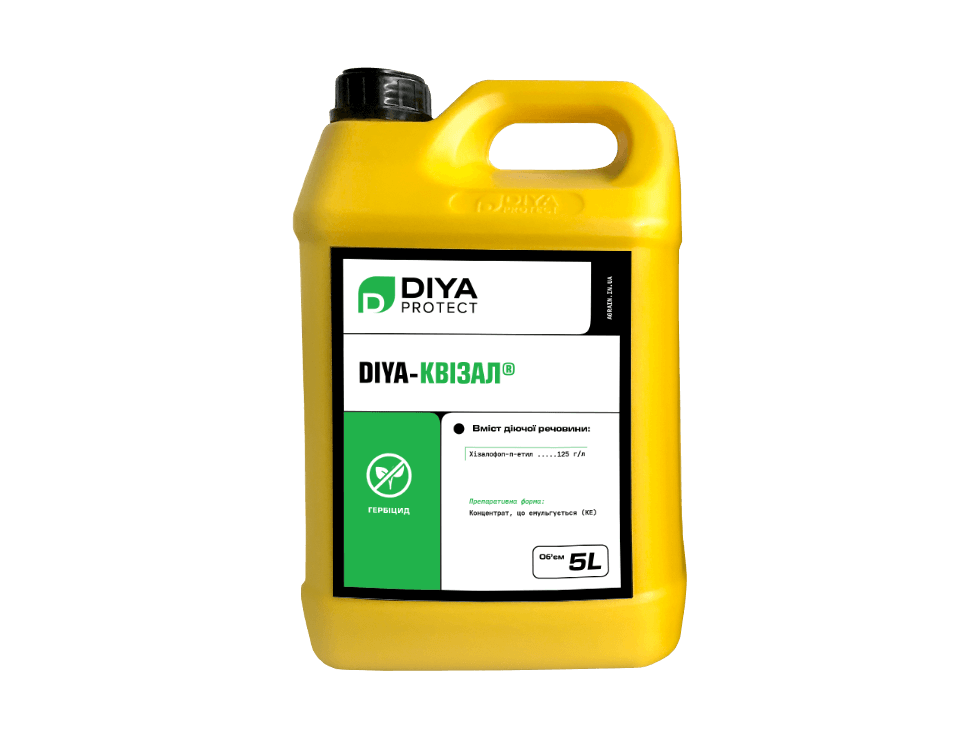 DIYA-Квізал
