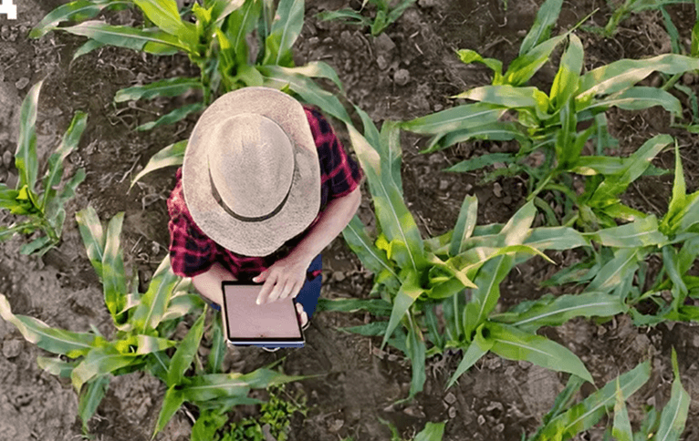 Farmer with tablet