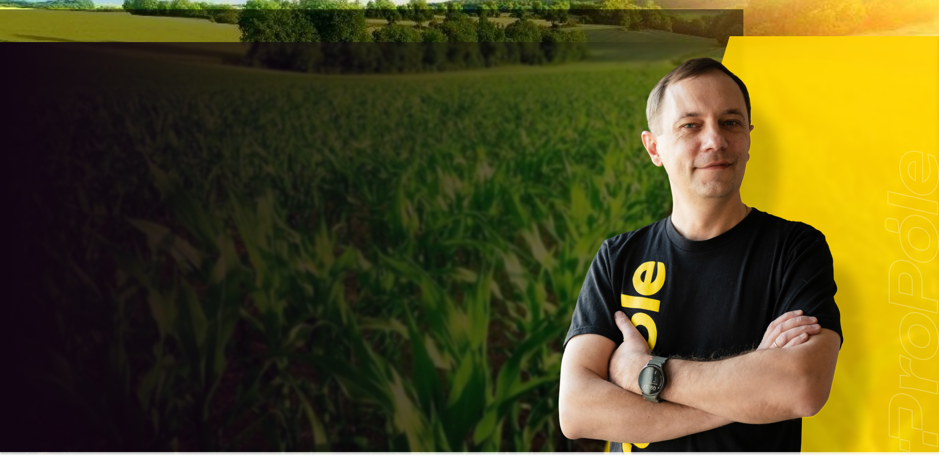 Sown field