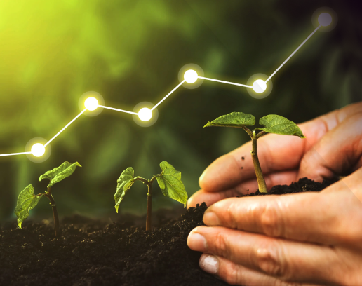Plants in hands
