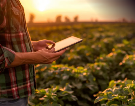 Farmer with tablet