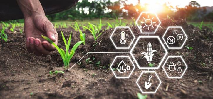 Crop cultivation