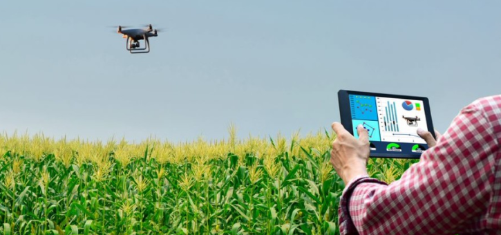 Drone management