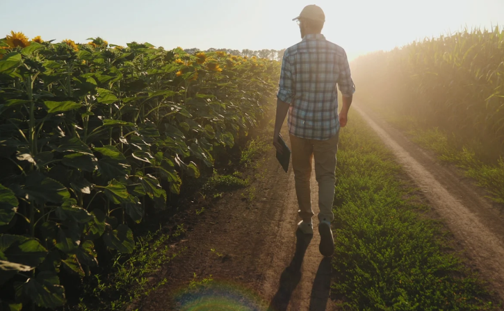 Farmer in the field